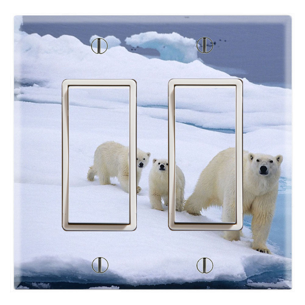 Polar Bear Ice Bears Arctic Life