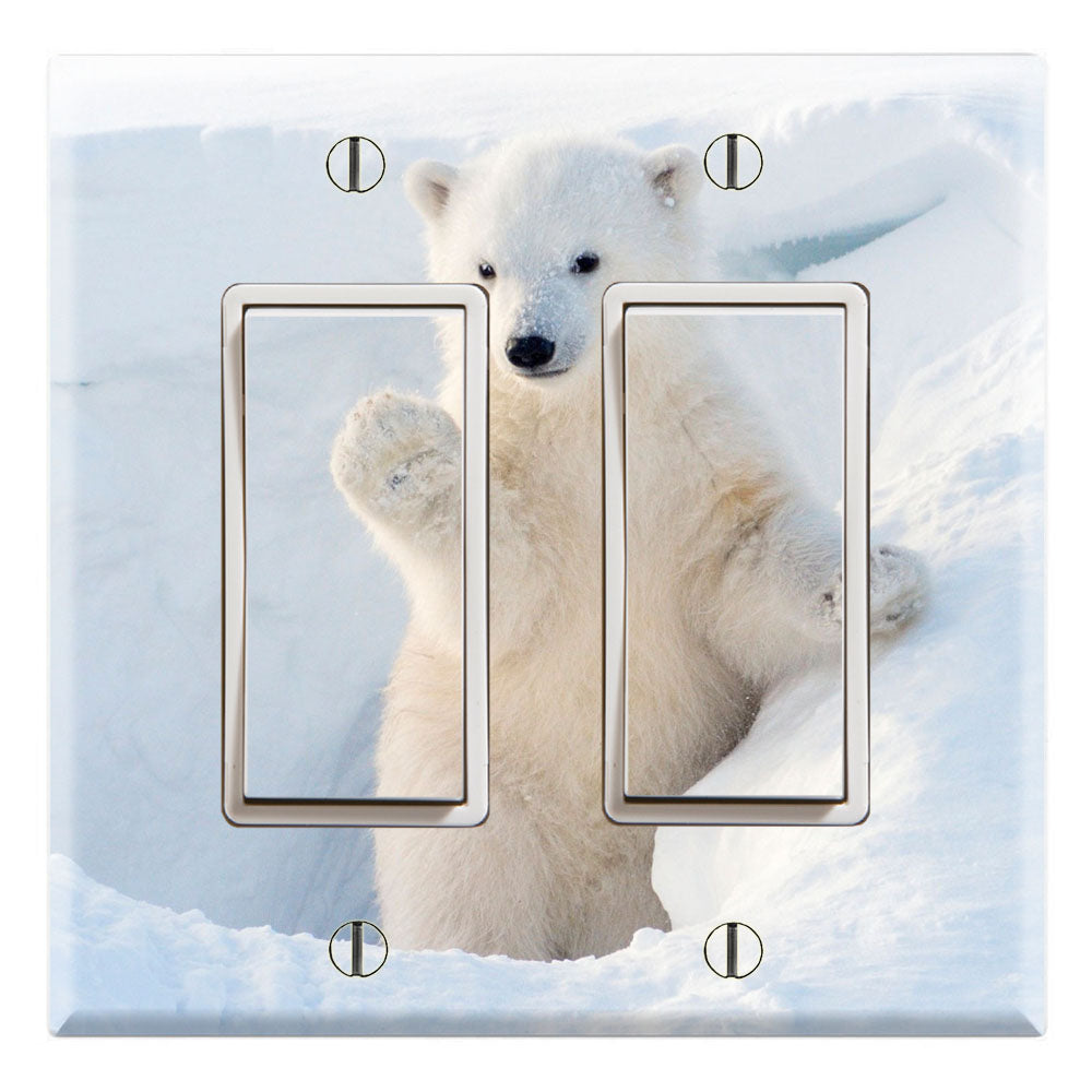 Polar Bear Cub in Snow