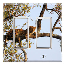 Load image into Gallery viewer, Leopard on the Tree Safari