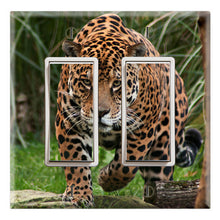 Load image into Gallery viewer, Leopard Hunting Wildlife