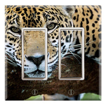Load image into Gallery viewer, Beautiful Leopard Staring