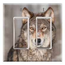 Load image into Gallery viewer, Alfa Grey Wolf