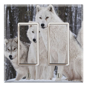 White Wolves Pack in Snow