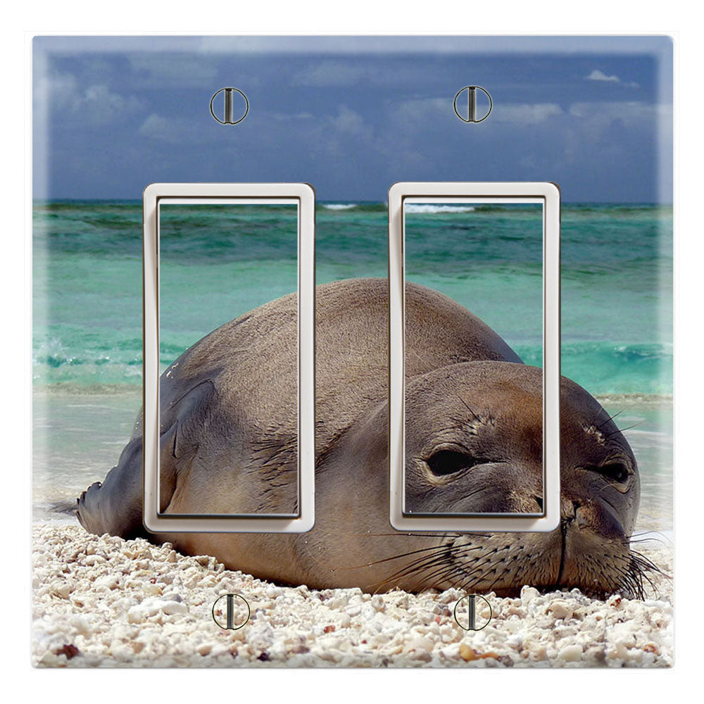 Hawaiian Monk Seal