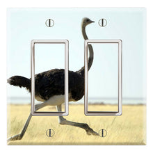 Load image into Gallery viewer, Ostrich Running