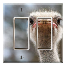 Load image into Gallery viewer, Ostrich Portrait