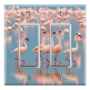 Flamingos Pat on the Beach