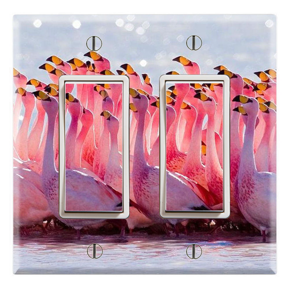 Pat Flamingos Flamboyance