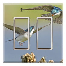 Load image into Gallery viewer, Tree Swallow Bluebird