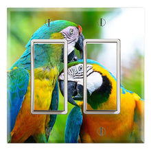 Load image into Gallery viewer, Exotic Pet Bird Macaw Parrots