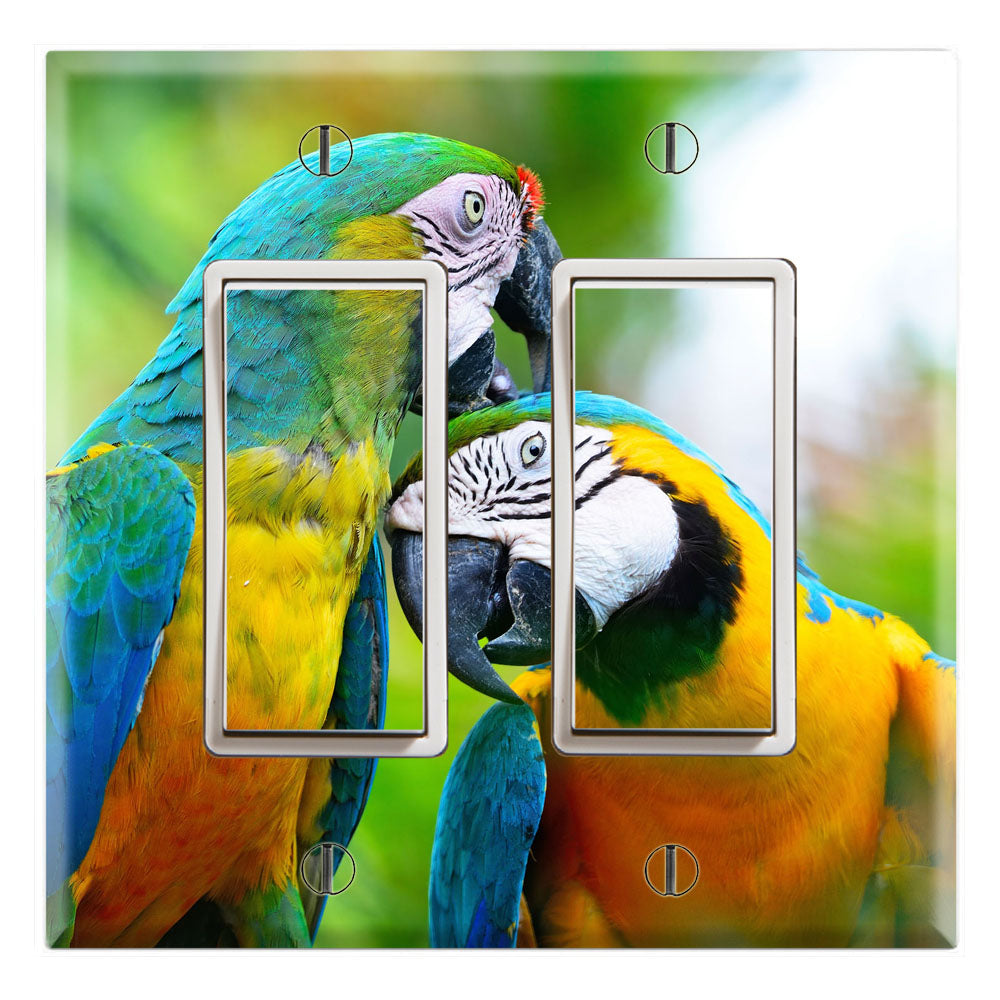 Exotic Pet Bird Macaw Parrots