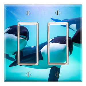 Orcas Pods Underwater