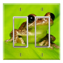 Load image into Gallery viewer, Cuban Tree Frog
