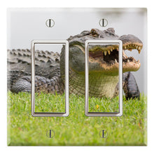 Load image into Gallery viewer, Alligator Florida