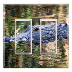 Alligator in Swamps