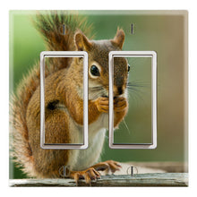 Load image into Gallery viewer, Backyard Squirrel
