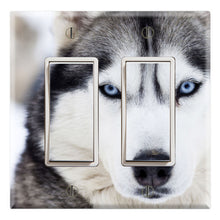 Load image into Gallery viewer, Siberian Husky Face Blue Eyes