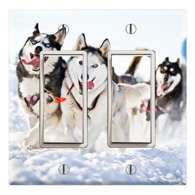 Siberian Husky Sled Dogs