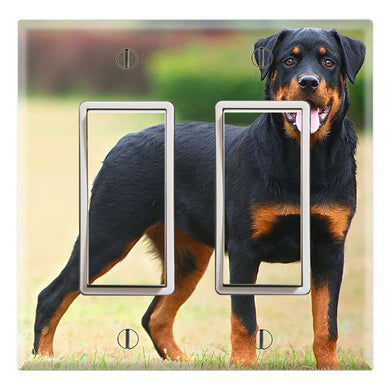 Rottweiler Royal Friend