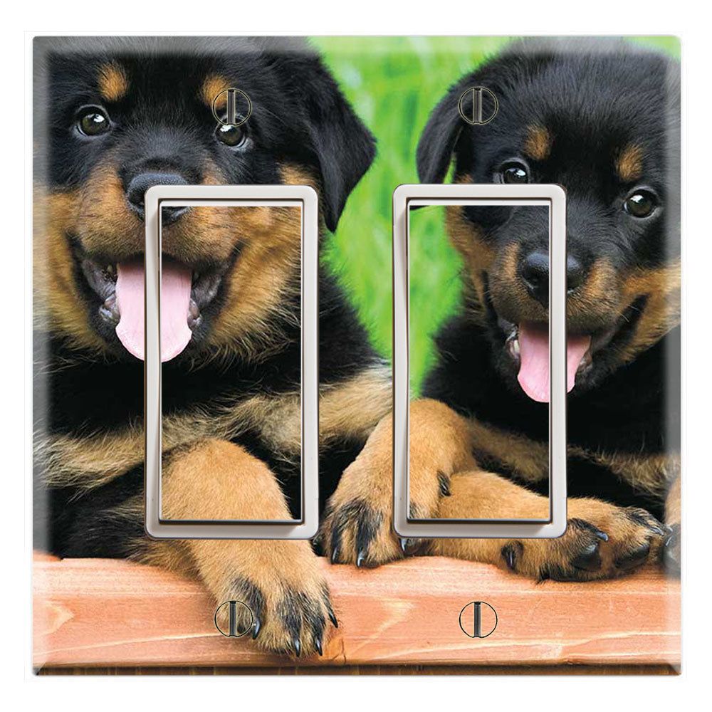Rottweilers Puppies Cute