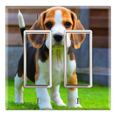 Beagle Puppy Cute Adorable