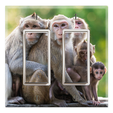 Snow Monkeys Family Love