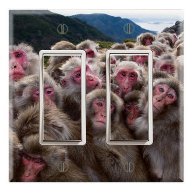 Japanese Snow Monkeys