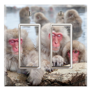 Snow Monkeys Hot Springs