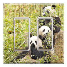 Load image into Gallery viewer, Panda Brothers Sister Wild