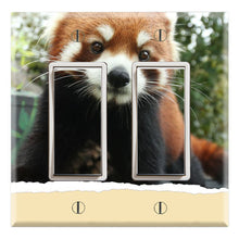 Load image into Gallery viewer, Red Panda Cat Bear Baby