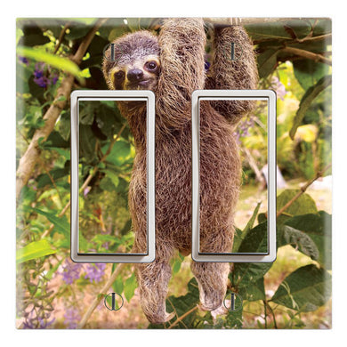 Wildlife Sloths Hanging