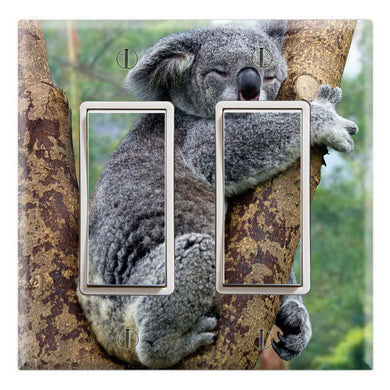 Koala Sleeping on Tree