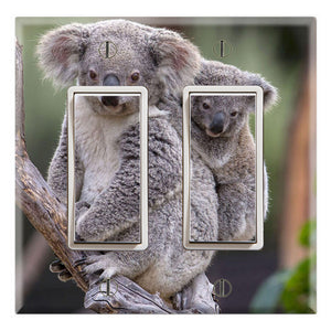 Koala and Baby Joey Wildlife