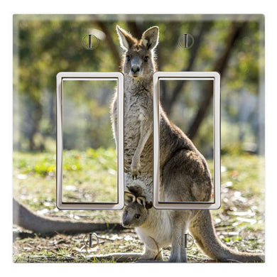 Western Grey Kangaroo