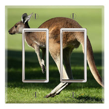 Load image into Gallery viewer, Red Kangaroo Wildlife