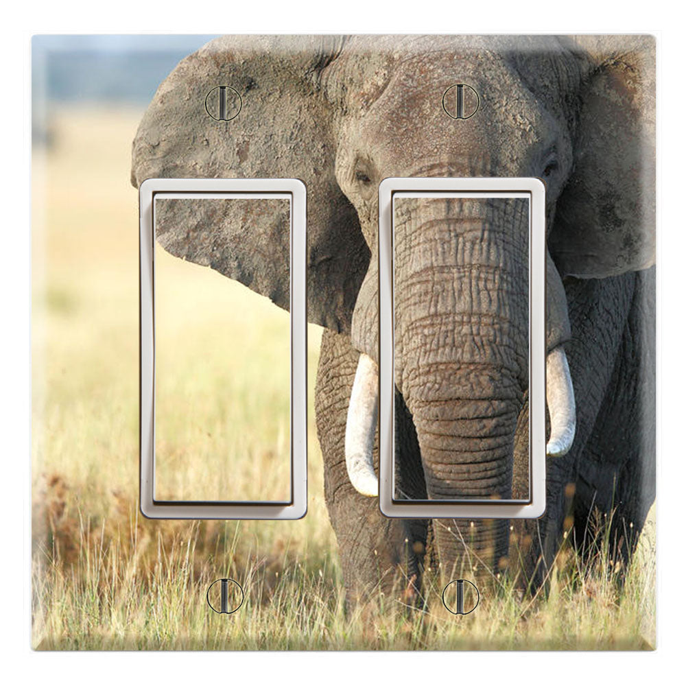 Sahara African Elephant Wildlife