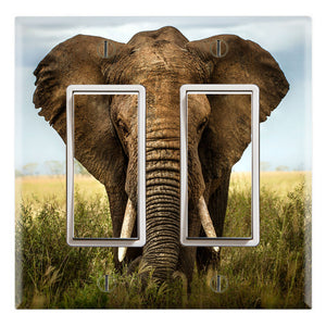African Bull Elephant Wild
