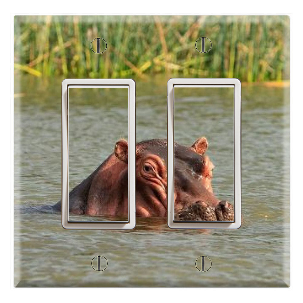 Hippopotamus Submerged Hippo