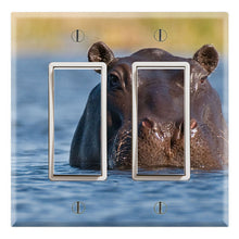 Load image into Gallery viewer, Hippo in the Water
