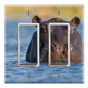 Hippo in the Water