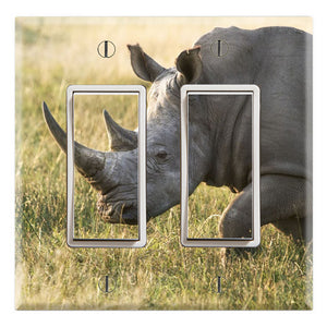 Two Horned Rhino Rhinoceros