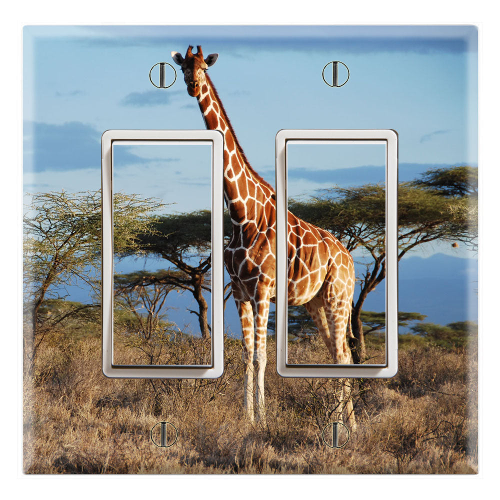 African Wildlife Giraffe