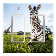 Load image into Gallery viewer, Zebra on the Grass