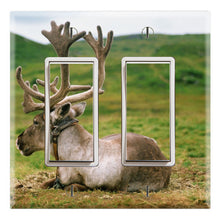 Load image into Gallery viewer, North America Reindeer Caribou