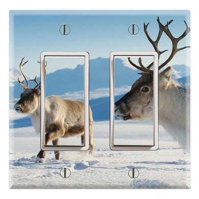 Reindeer Animals Snow