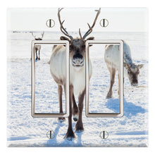 Load image into Gallery viewer, Reindeer Caribou Herd