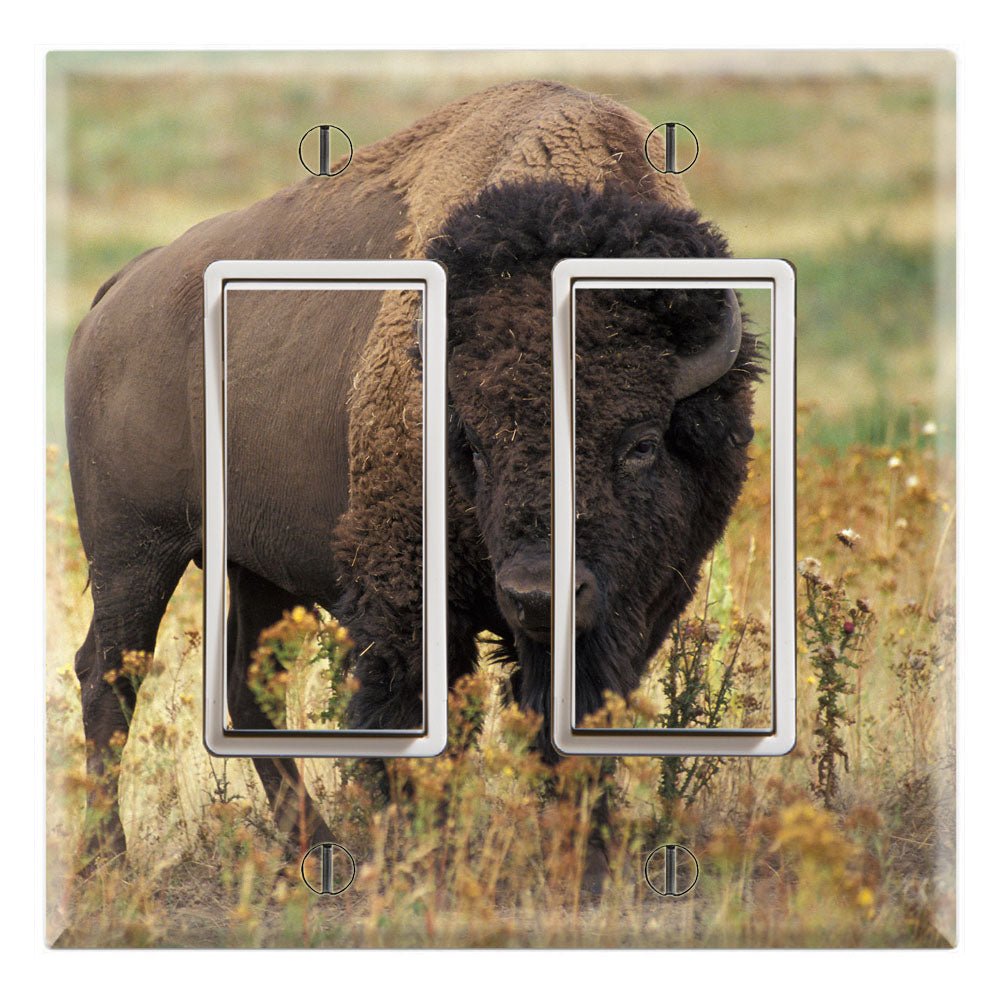 Buffalo Wild Bison