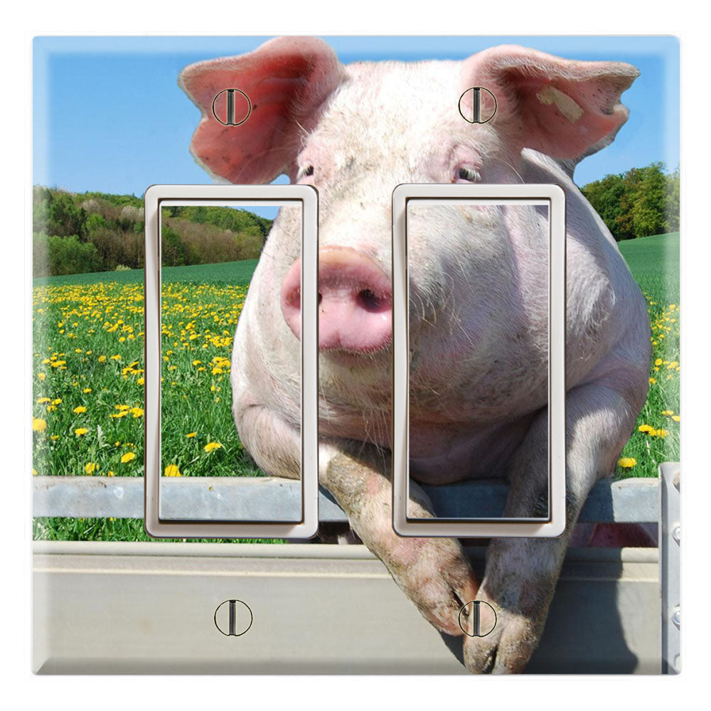 Pig hanging on Fence Farm
