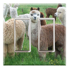 Load image into Gallery viewer, Cute Crias Llamas Animals