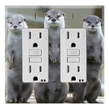 Load image into Gallery viewer, River Otters
